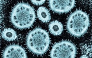 Borderless investment in vaccines to counter borderless infectious diseases