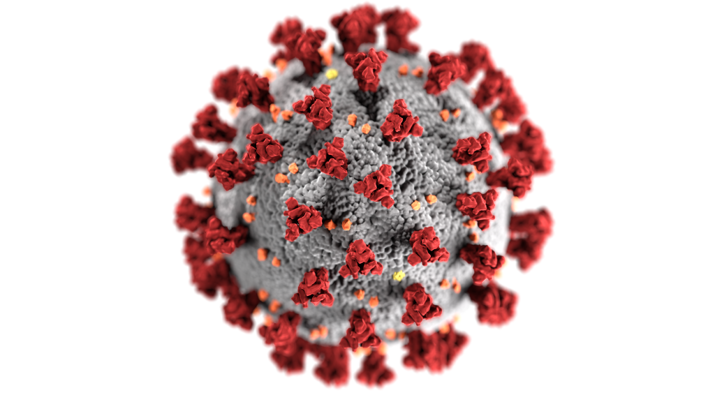 Genexine consortium’s Covid-19 vaccine acquires approval for clinical trails in Korea
