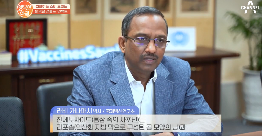 채널A | 면역력 강화를 돕는 '홍삼'