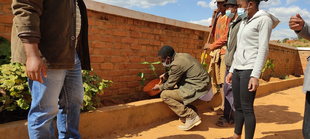 New Seeds: World Environment Day 2021 at IVI